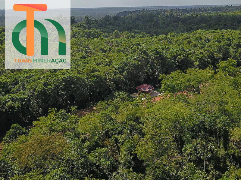 Minera&ccedil;&atilde;o Paragominas